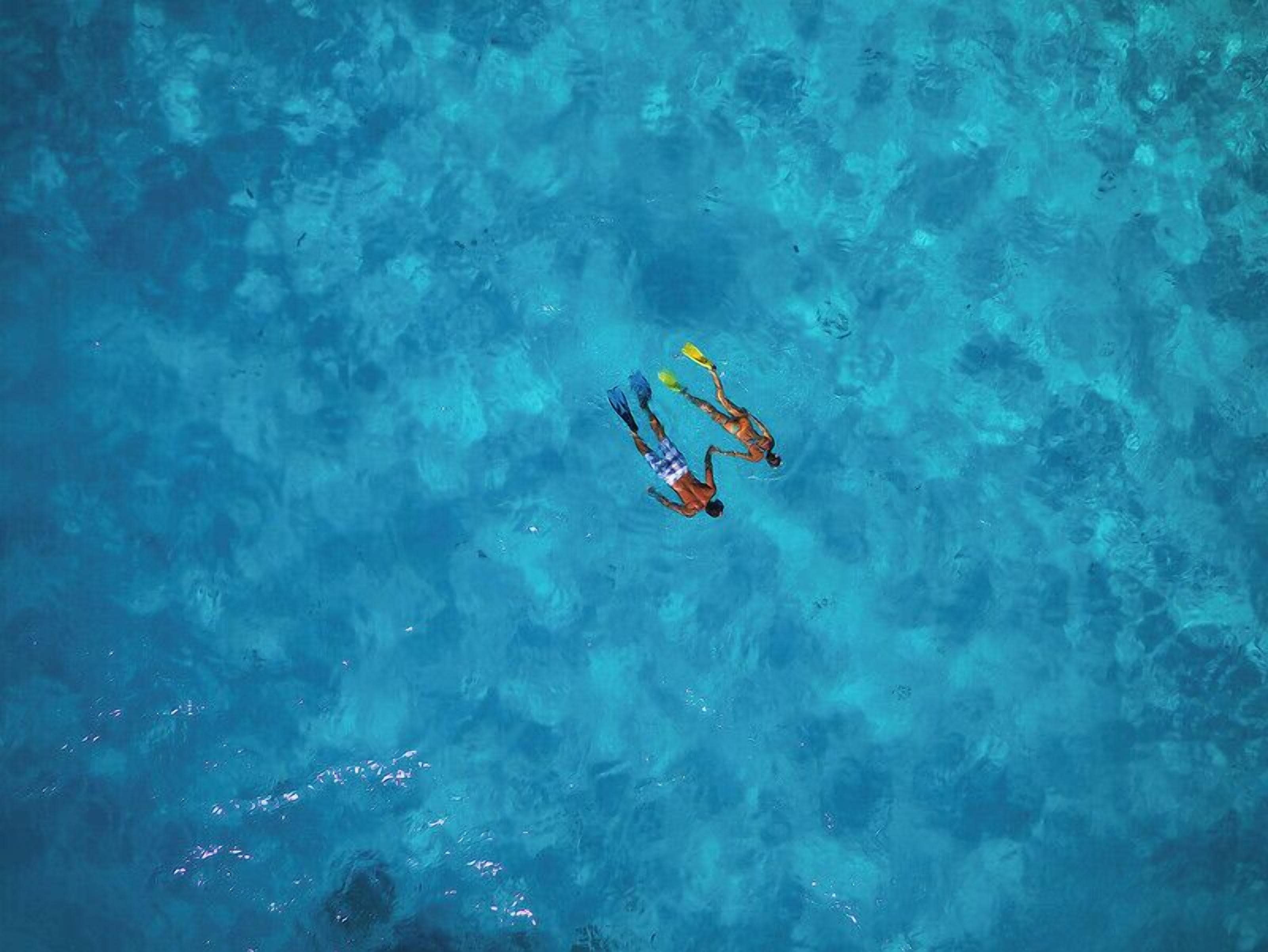 Vista aérea de una piscina con tres personas haciendo snorkel.