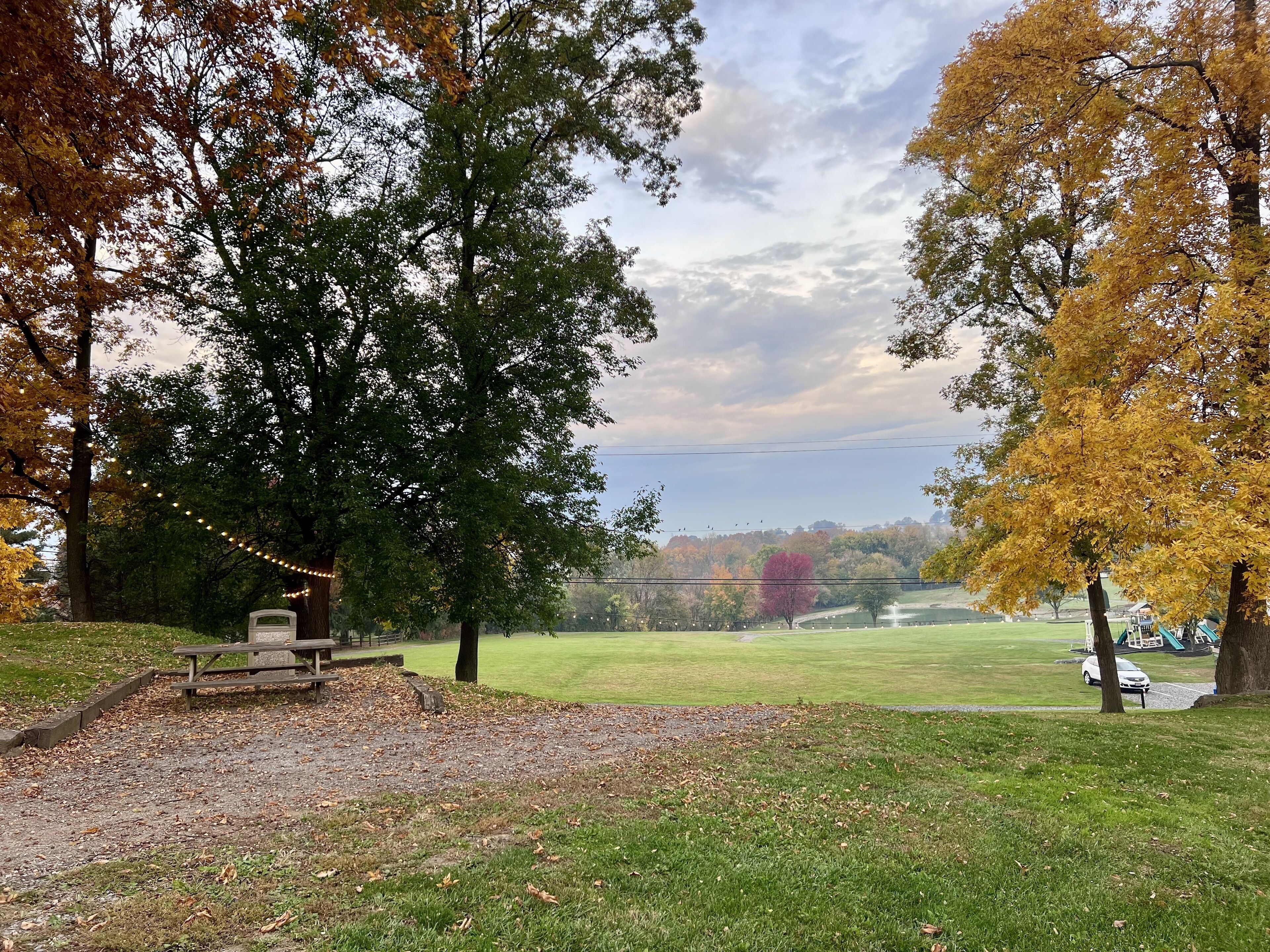 A park with a picnic table, a grassy field, and trees with autumn leaves.