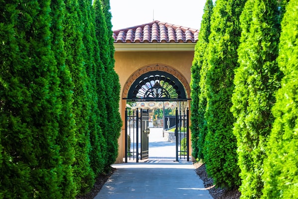 View from property