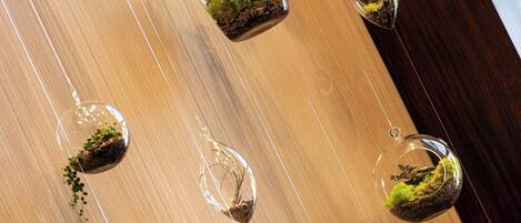 A wooden surface with multiple hanging glass terrariums containing moss and small plants.