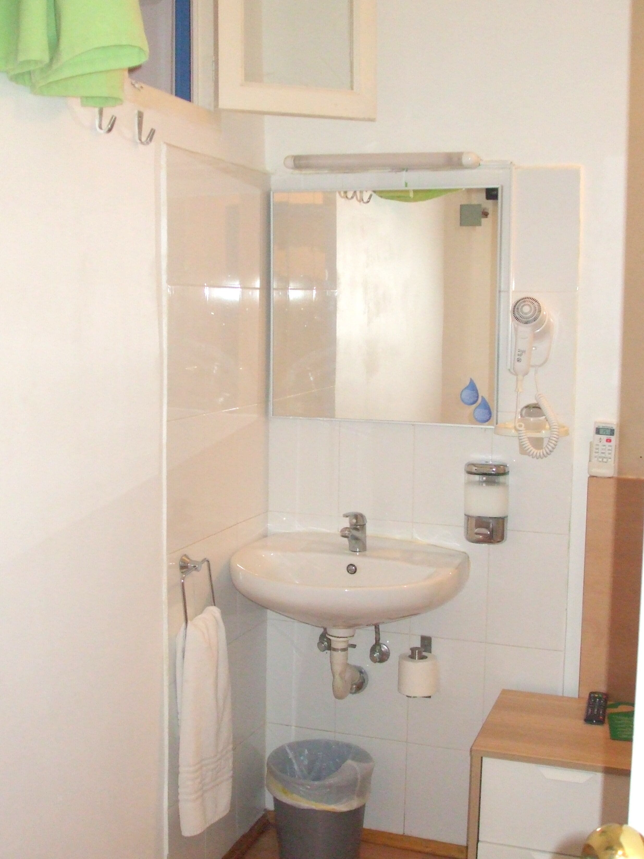 Baño con lavamanos, espejo, toallero y cubo de basura.