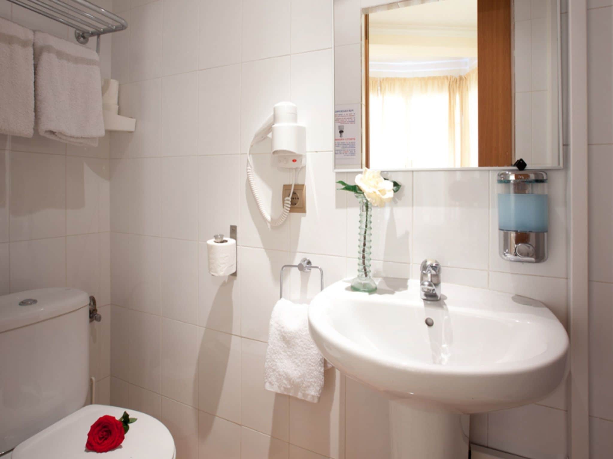 A bathroom with a toilet, a sink, a mirror, a towel rack, and a toilet paper holder.