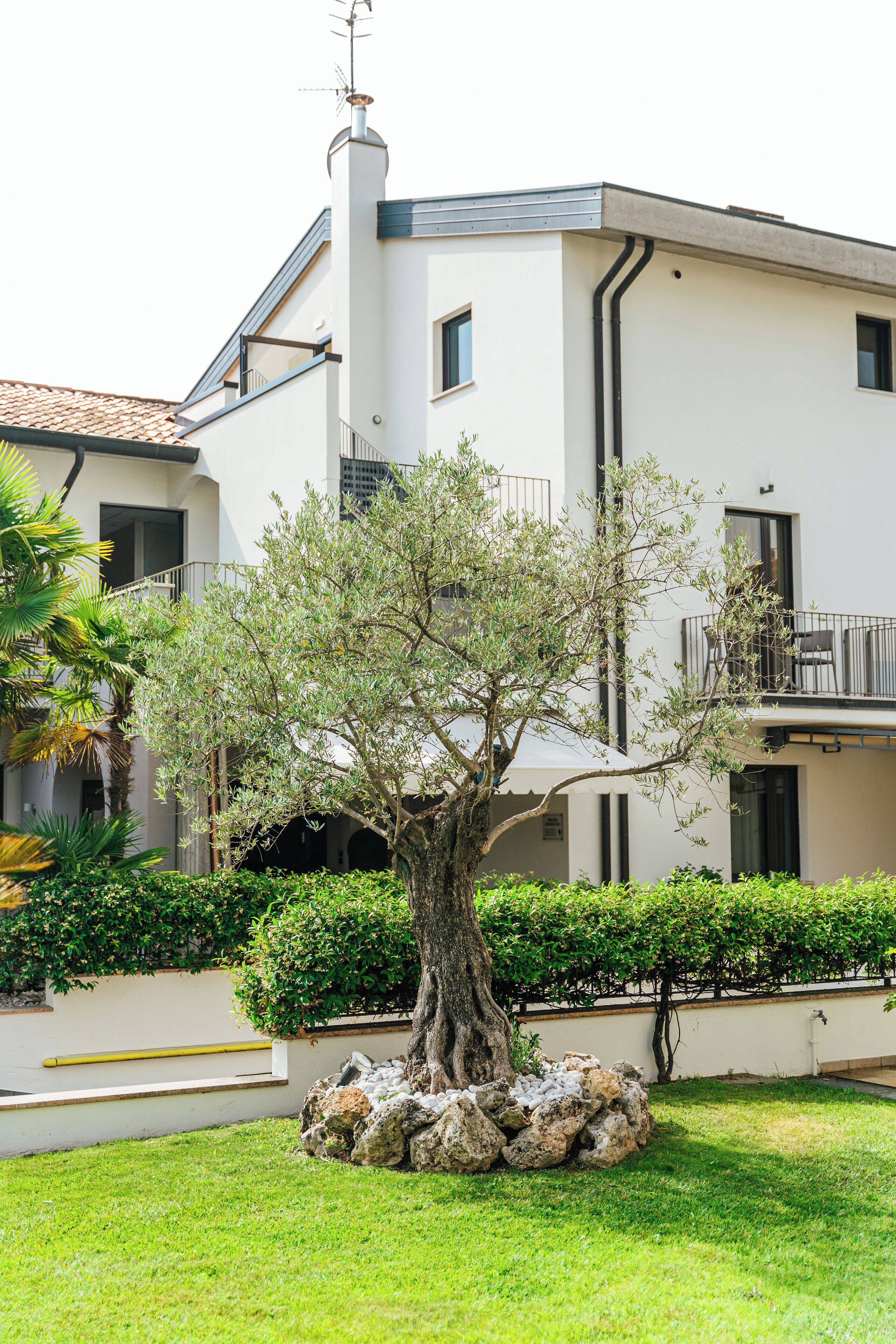 A modern building with a tree in the front yard, a balcony with a railing, and a clear sky.