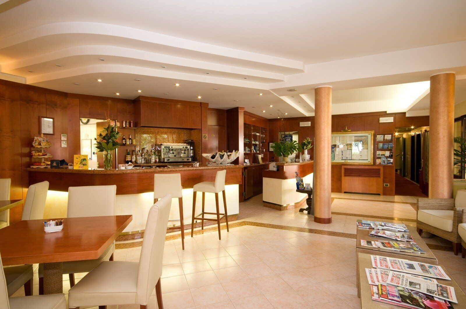 منطقة الاستقبال