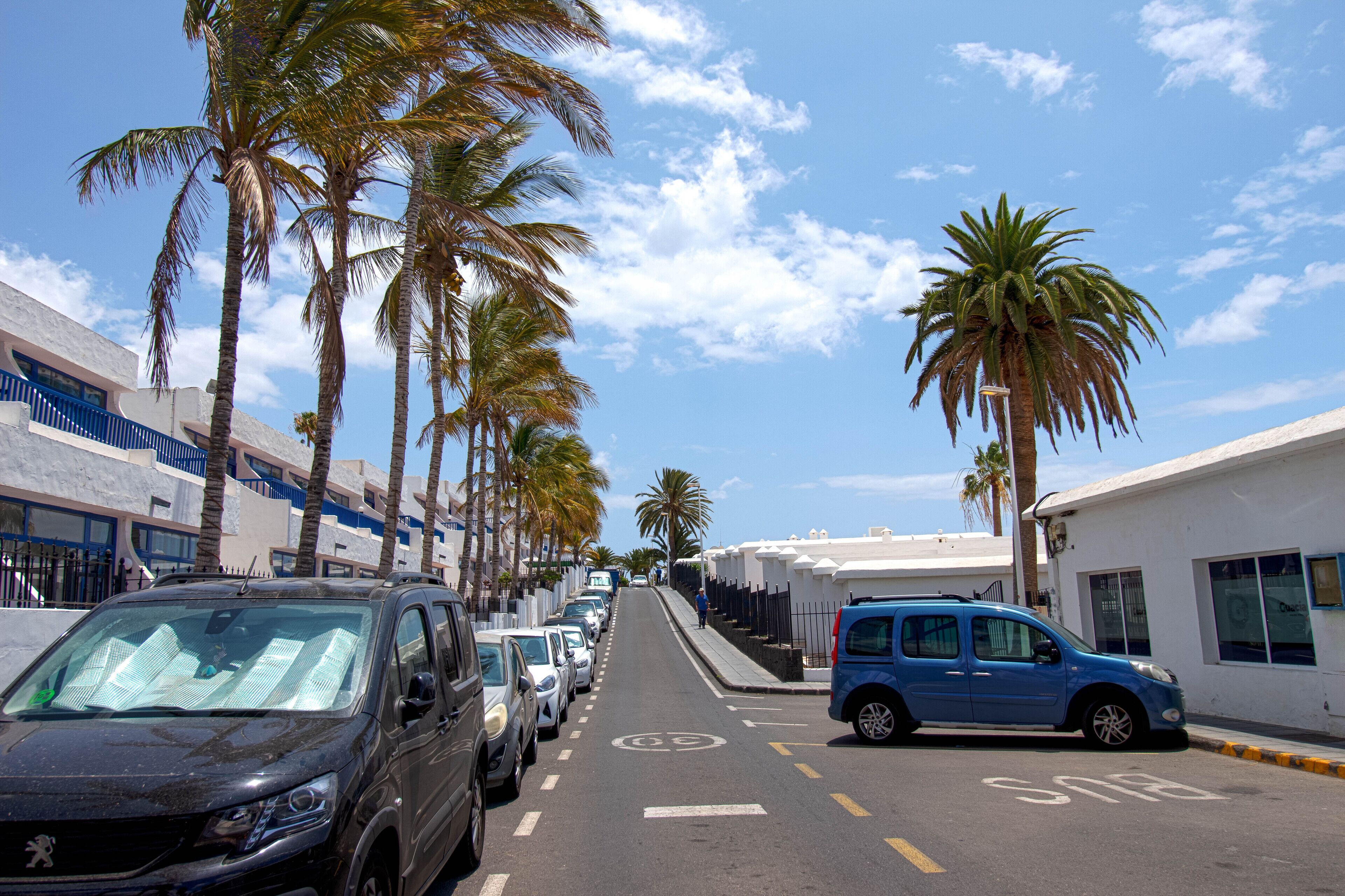 A street lined with parked cars and palm trees, with buildings on either side.