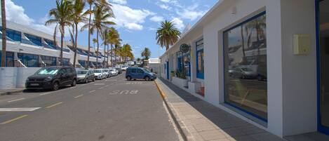 A street with parked cars and palm trees.