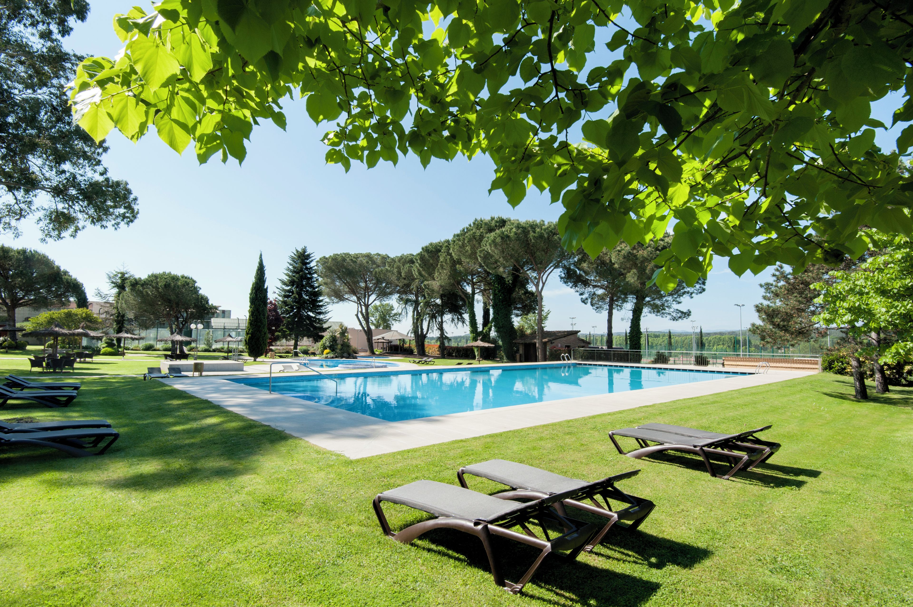 A rectangular swimming pool surrounded by a well-maintained lawn with lounge chairs.