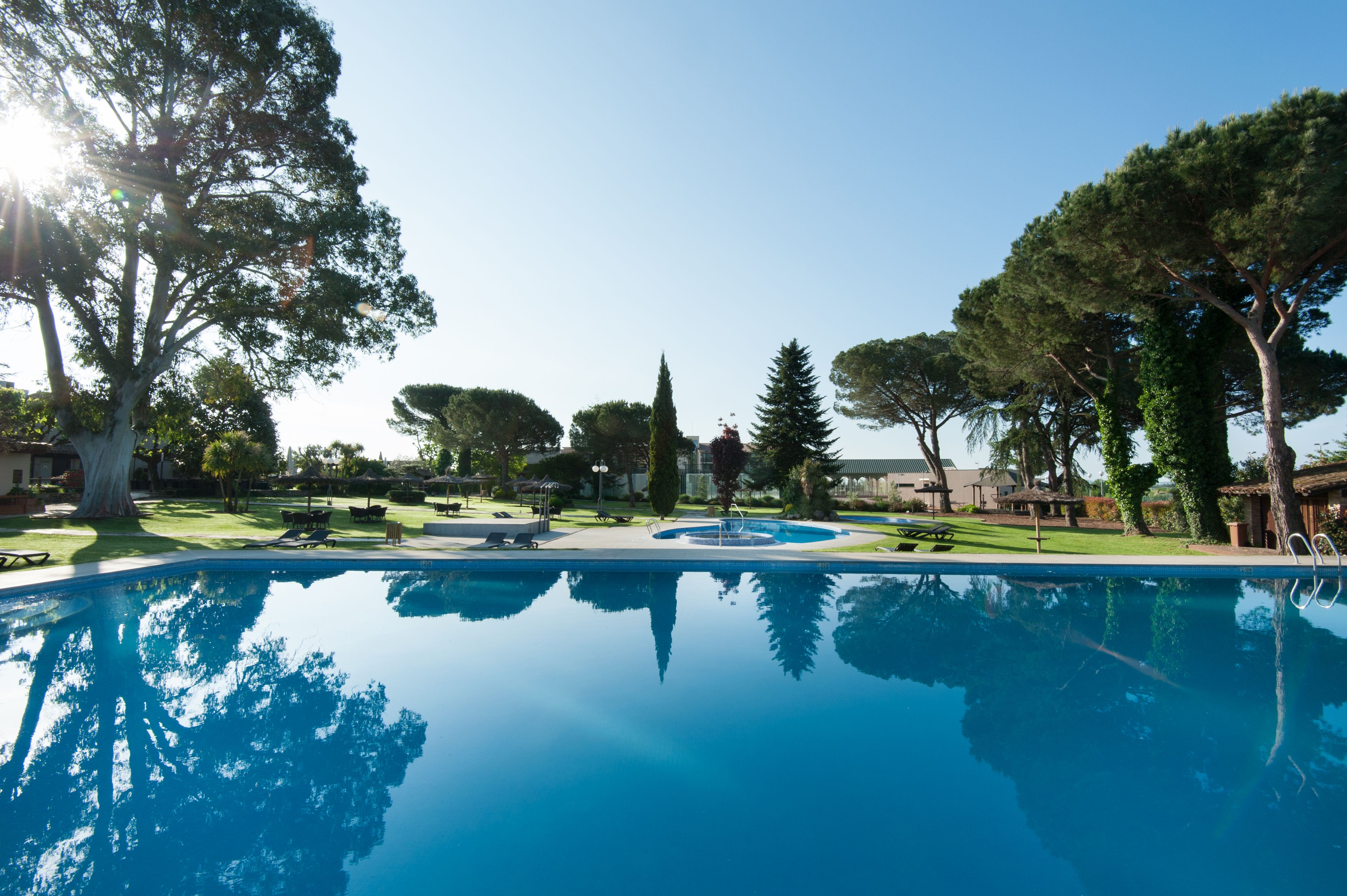 Ein klarer, blauer Swimmingpool, umgeben von Bäumen und einem gepflegten Rasen.