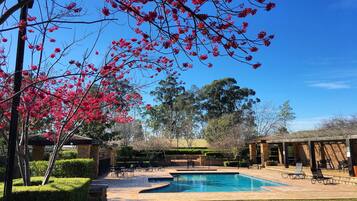 Outdoor pool, pool loungers