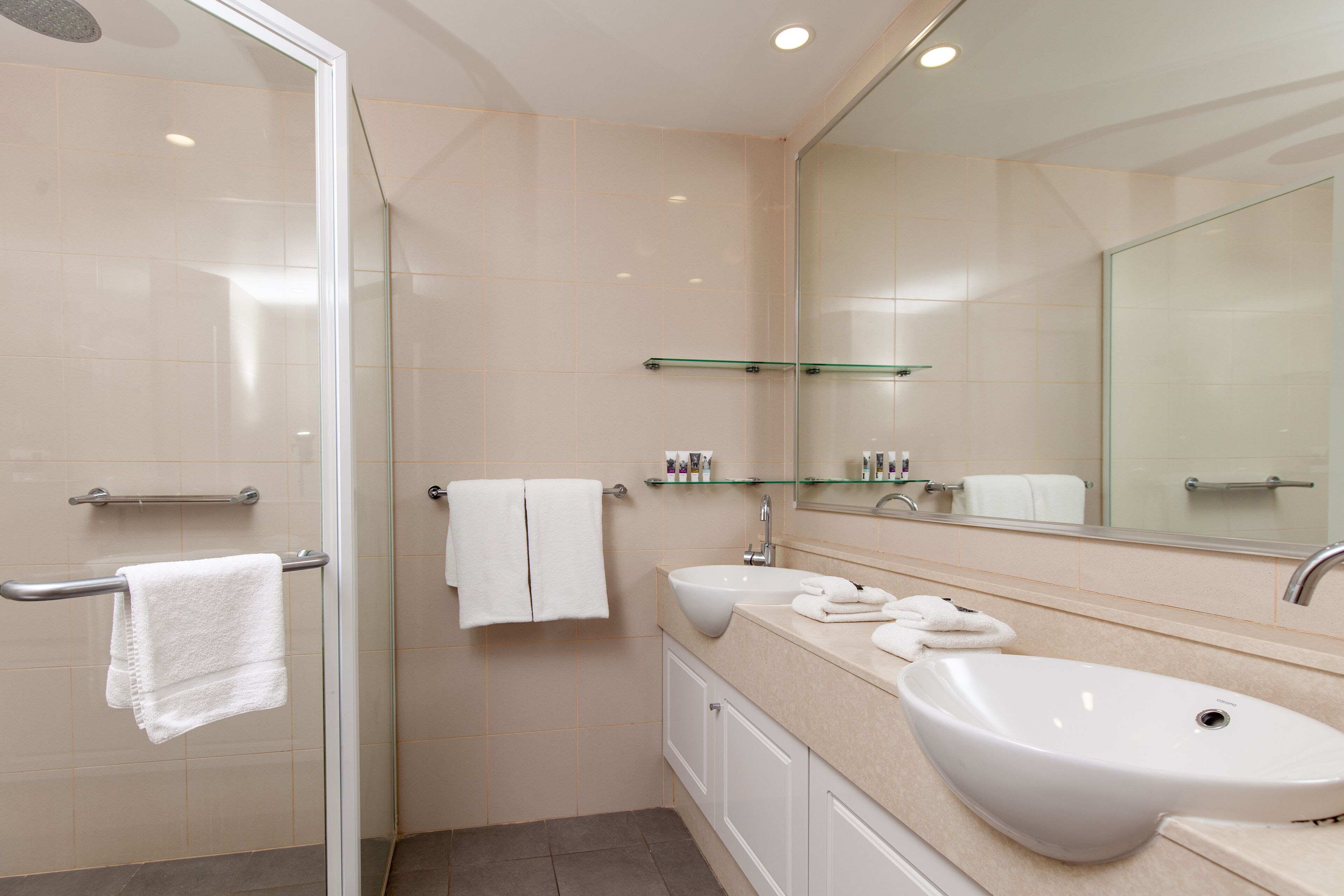 A modern bathroom with a glass shower enclosure, a white sink, and a large mirror.