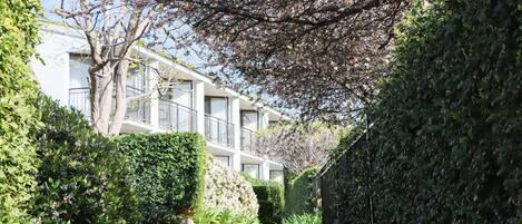 A pathway leading to a building with multiple balconies, surrounded by lush greenery and flowering trees.