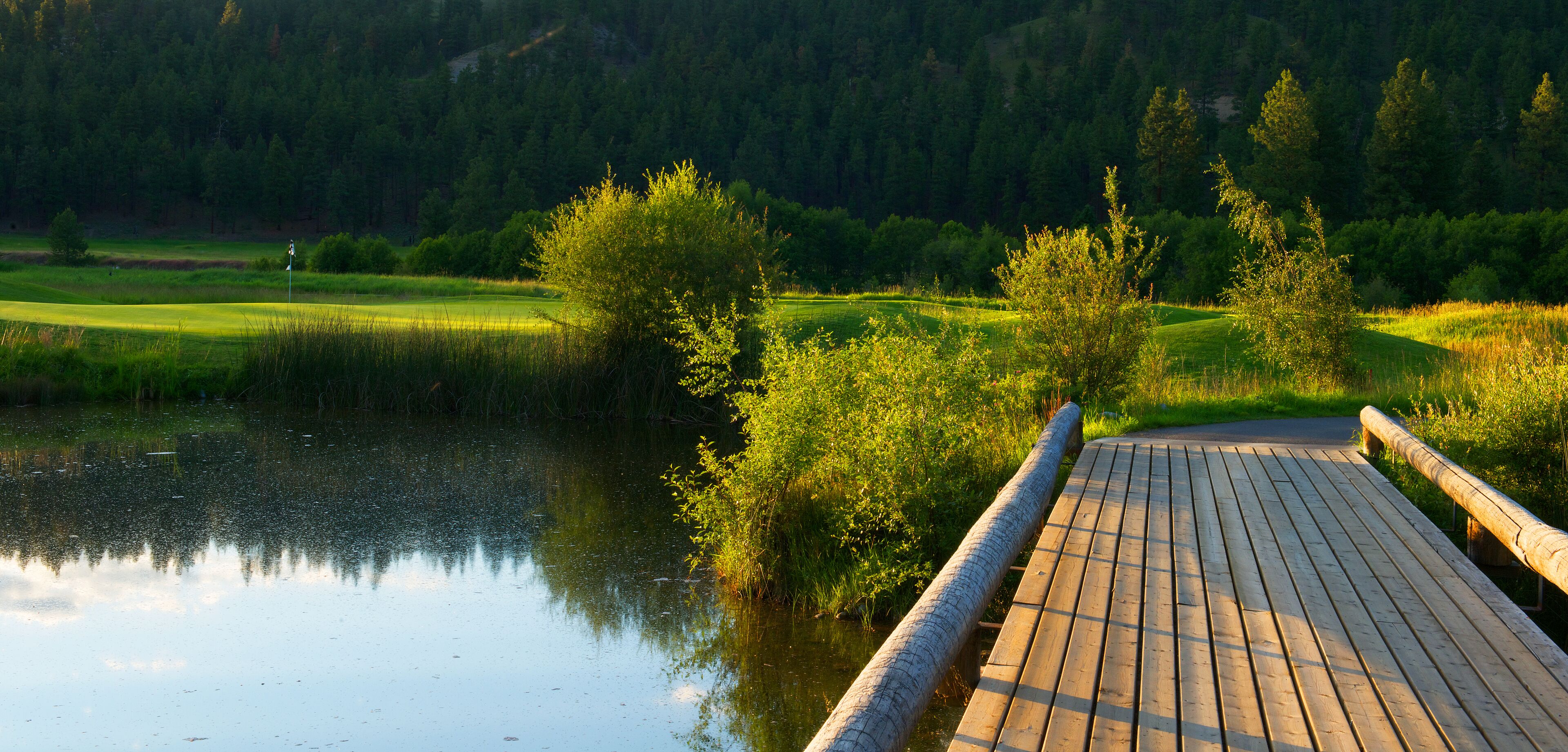A wooden bridge over a calm lake with lush greenery and a forest in the background.