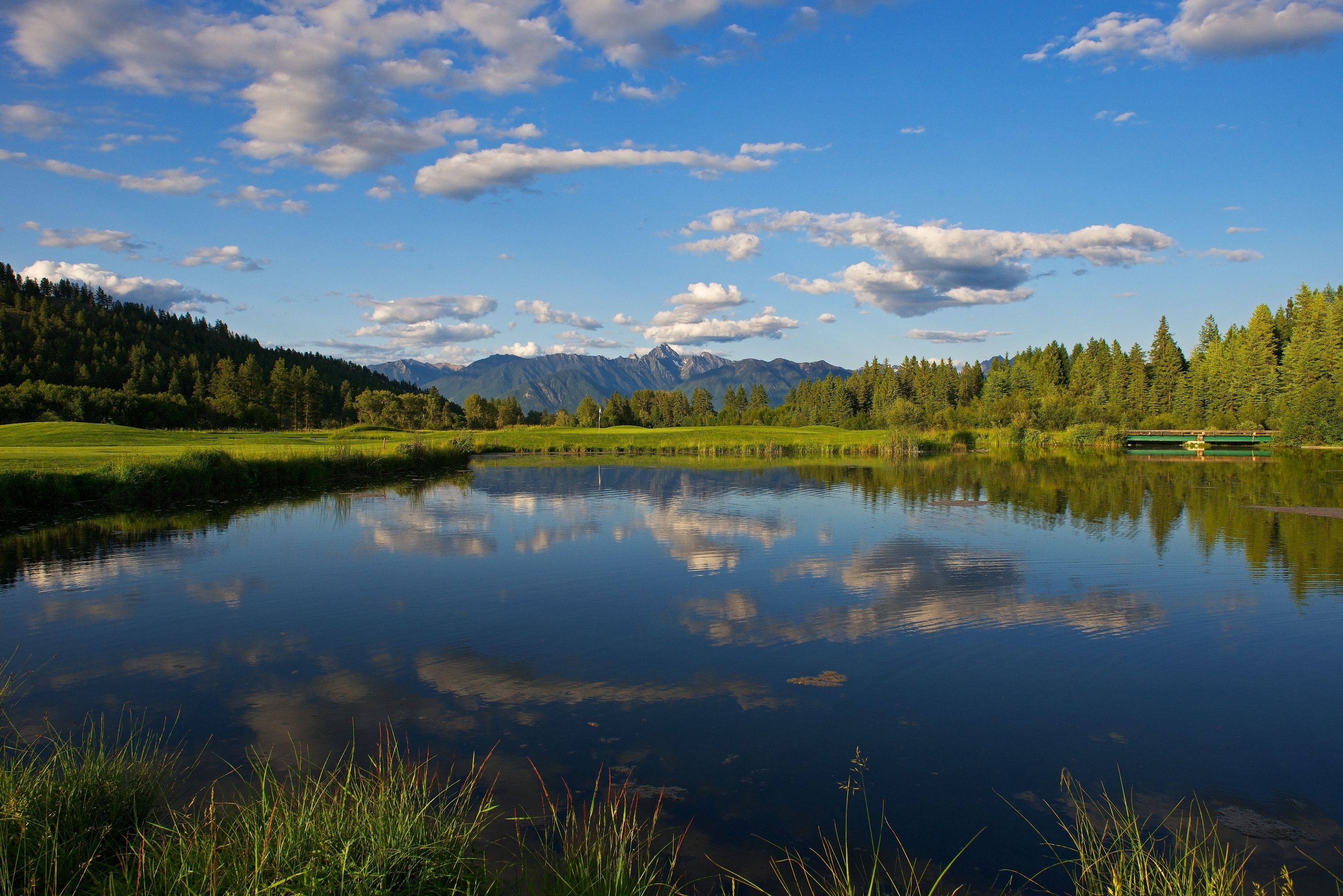 A calm lake with a reflection of the sky and mountains, surrounded by greenery and a wooden dock.
