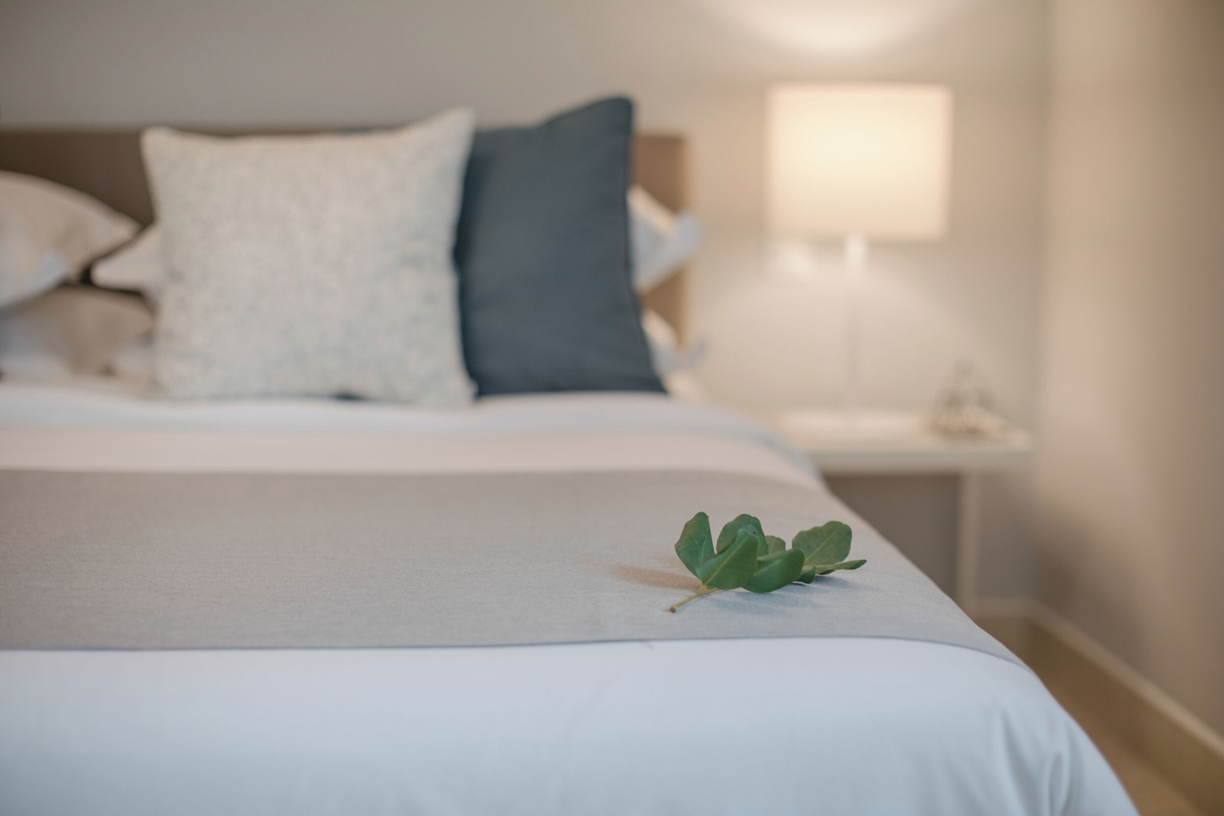 A neatly made bed with a single green leaf on the bedspread, a white pillow, and a dark pillow on the headboard.