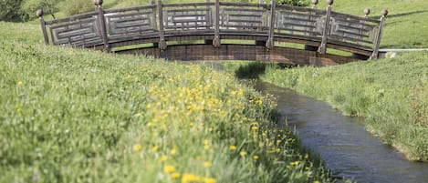A wooden bridge over a stream in a grassy area with yellow flowers.