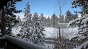 Een besneeerd landschap met sneeuwbedekte bomen en een helderblauwe lucht.