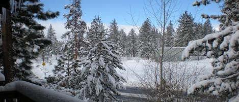 Un paisaje nevado con árboles cubiertos de nieve y un cielo azul despejado.