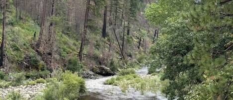 Un río serpenteando por una zona boscosa con árboles frondosos y terreno rocoso.