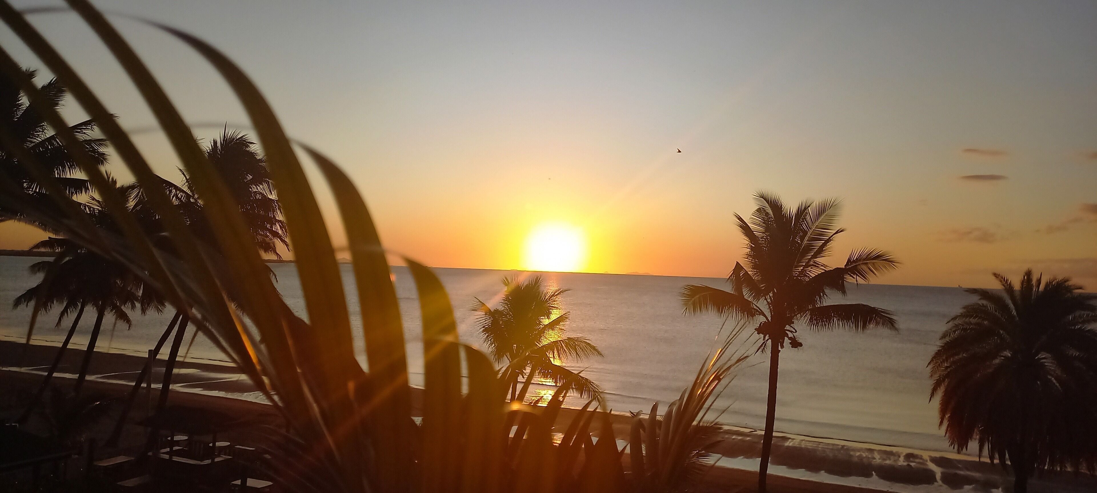 A sunset view with palm trees and a beach.