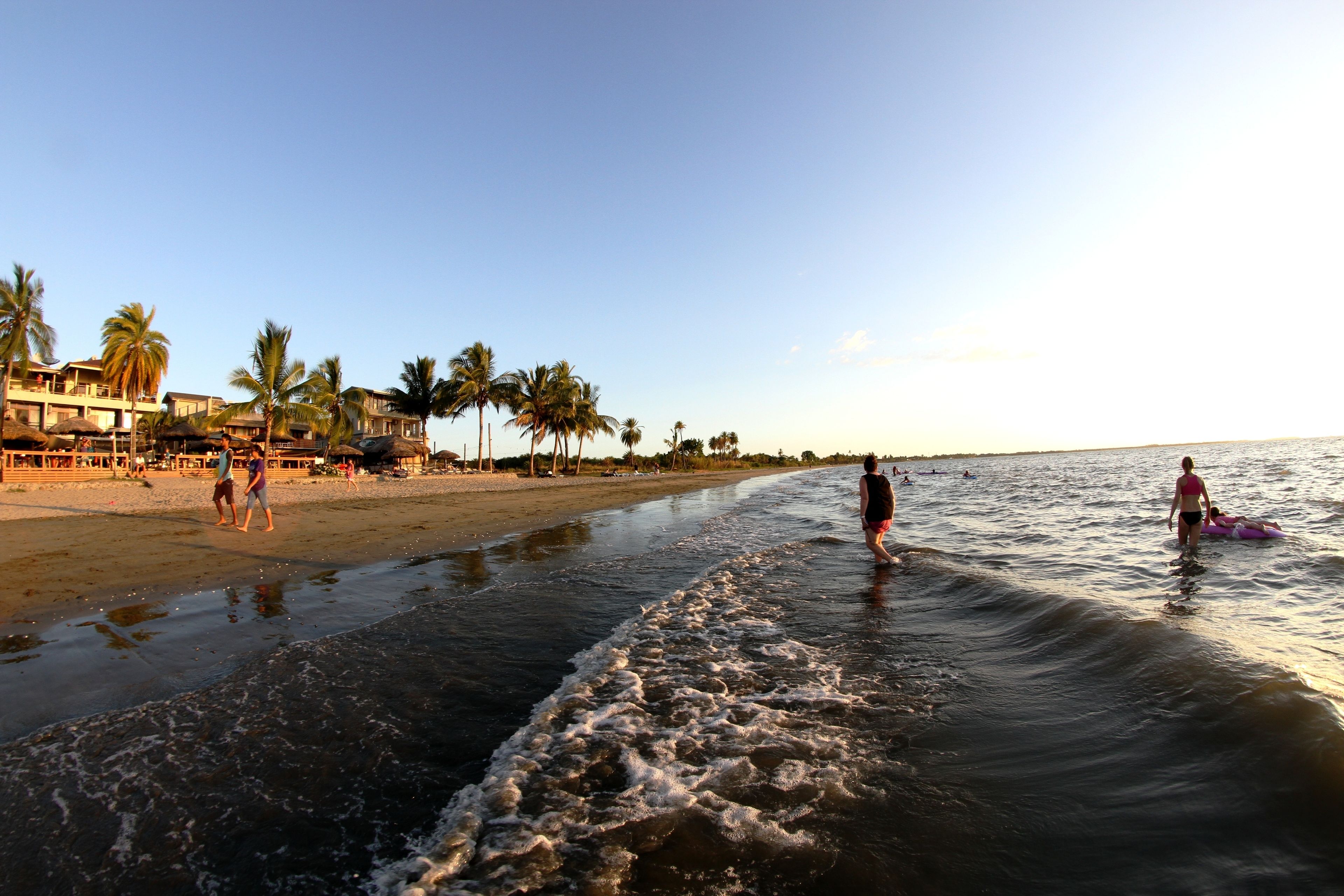 A beach with palm trees, a sandy shore, and a building with a balcony.