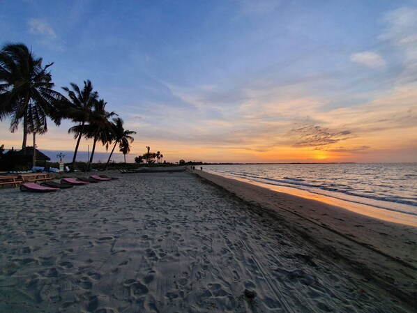 A beach with palm trees, a wooden structure, and a row of beach chairs. - Smugglers Cove Beach Resort and Hotel (Nadi)