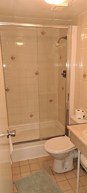 Hair dryer, towels - The Langham Hotel (Northampton)