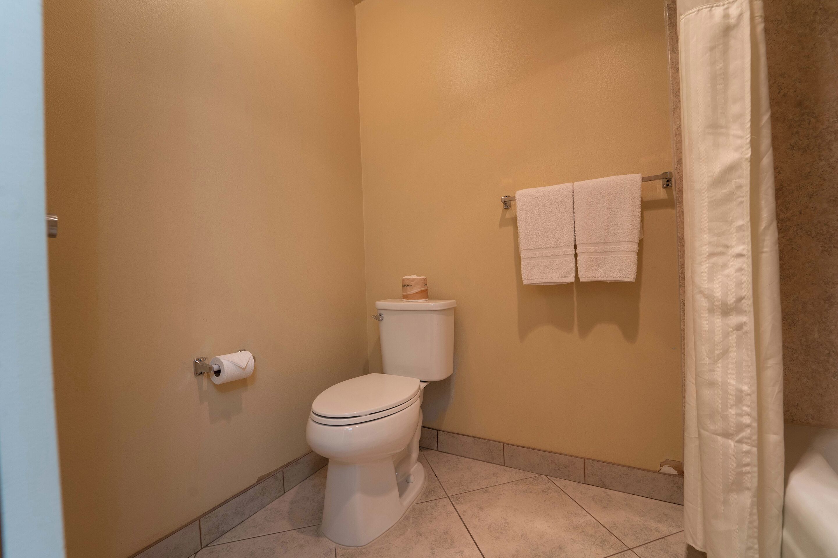A small bathroom with a toilet, a towel rack with two towels, and a shower curtain.