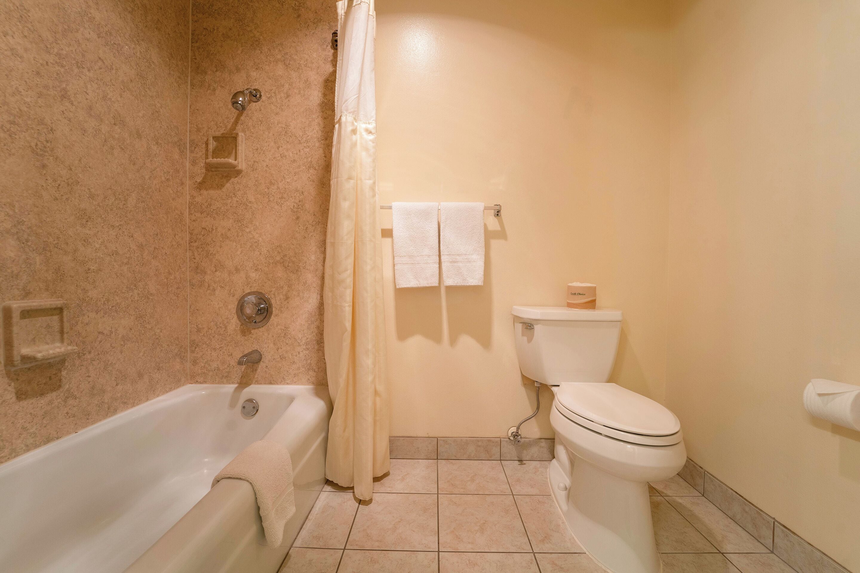 Une salle de bain avec une baignoire, des toilettes et un rideau de douche.