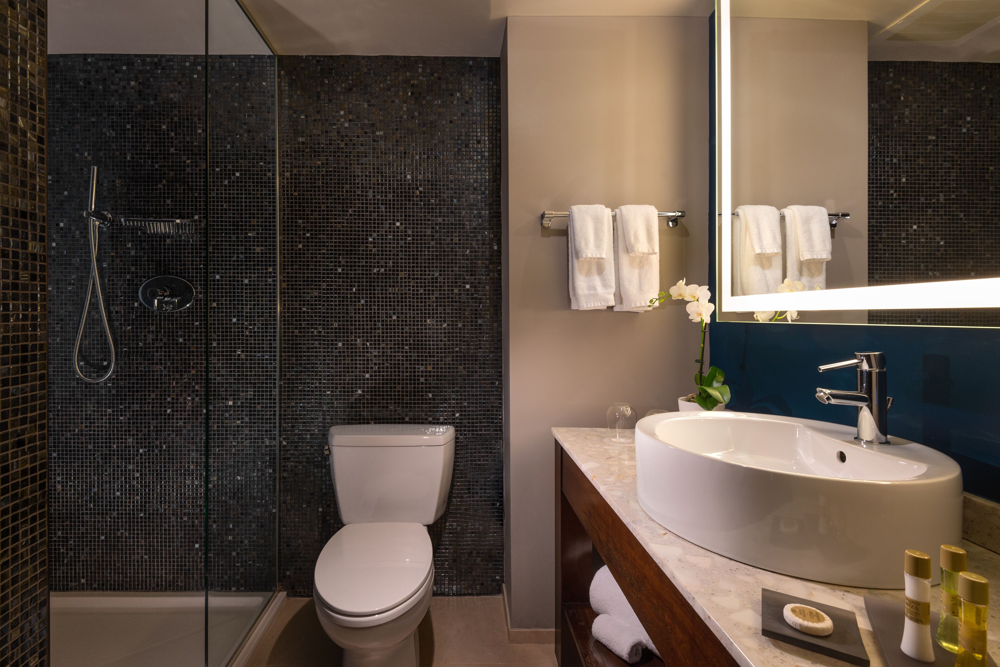 shower, rainfall showerhead, designer toiletries, hair dryer