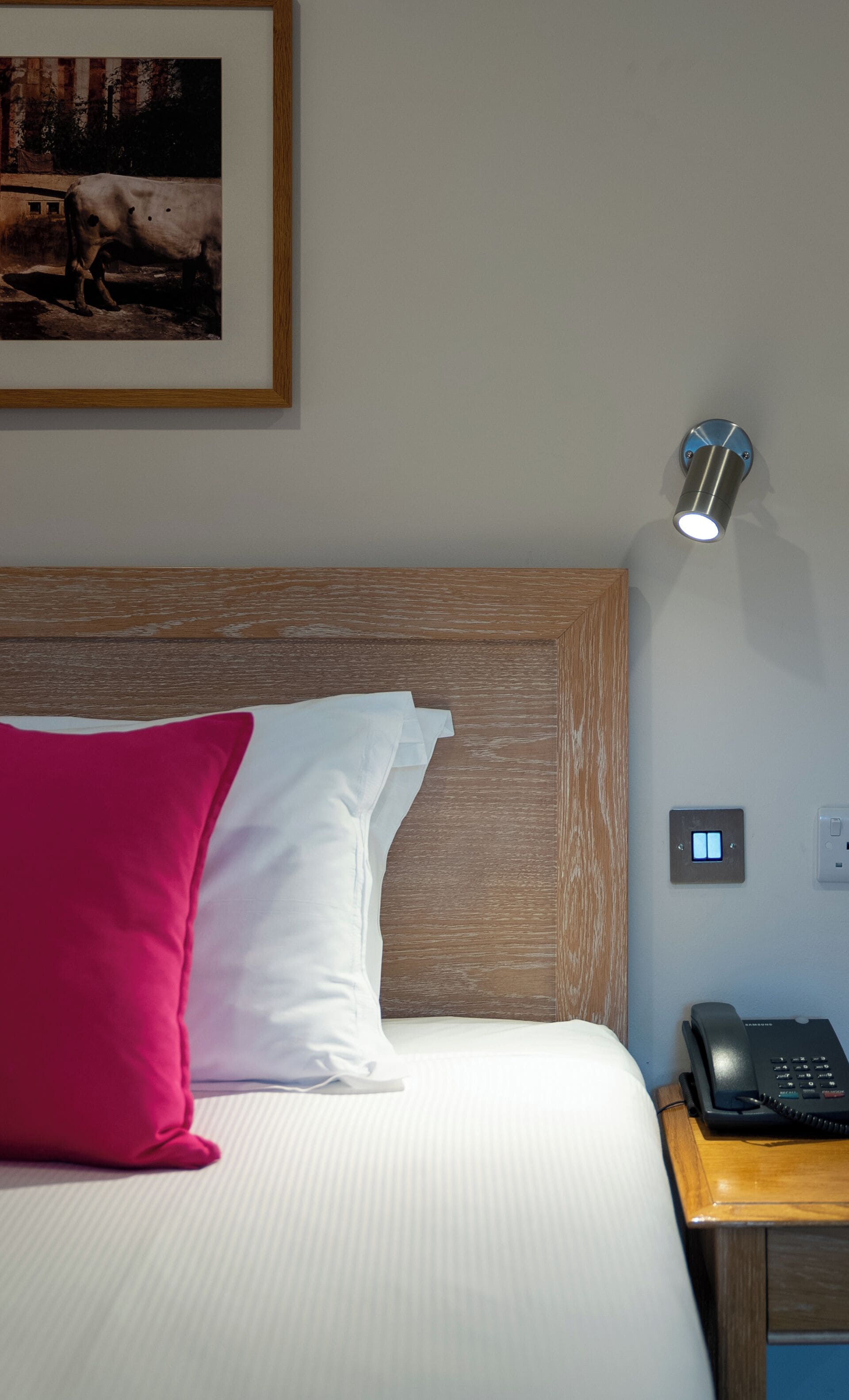 A hotel room with a bed, a nightstand, a lamp, a phone, and a framed picture on the wall.