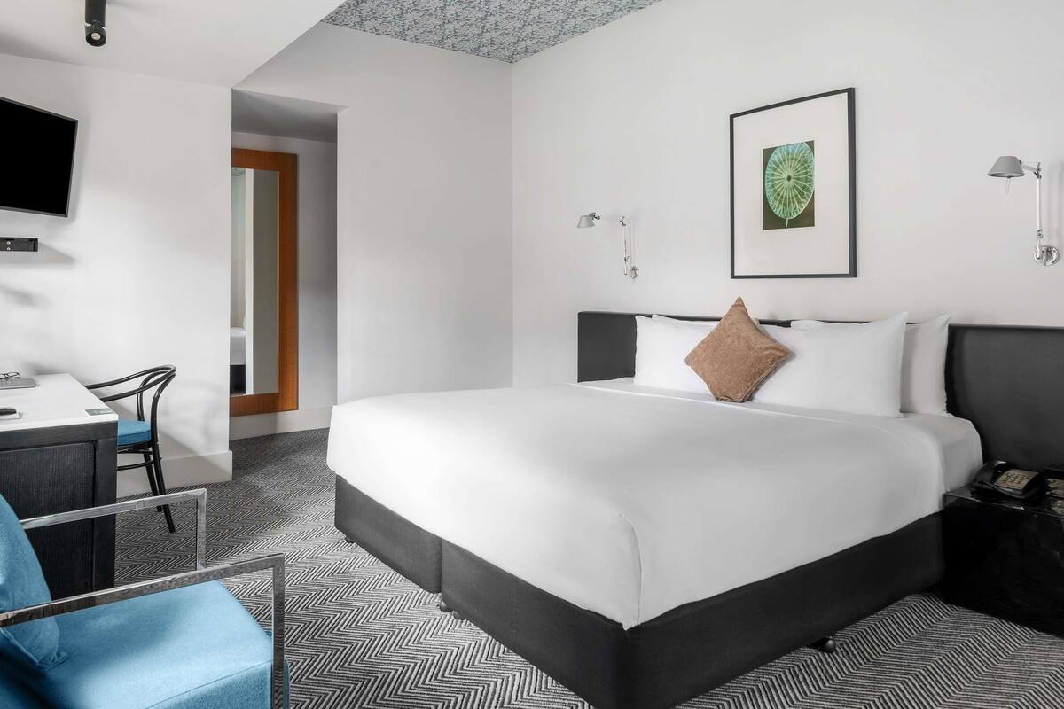 A modern hotel room with a large bed, a desk with a chair, a flat-screen TV, and a framed plant on the wall.