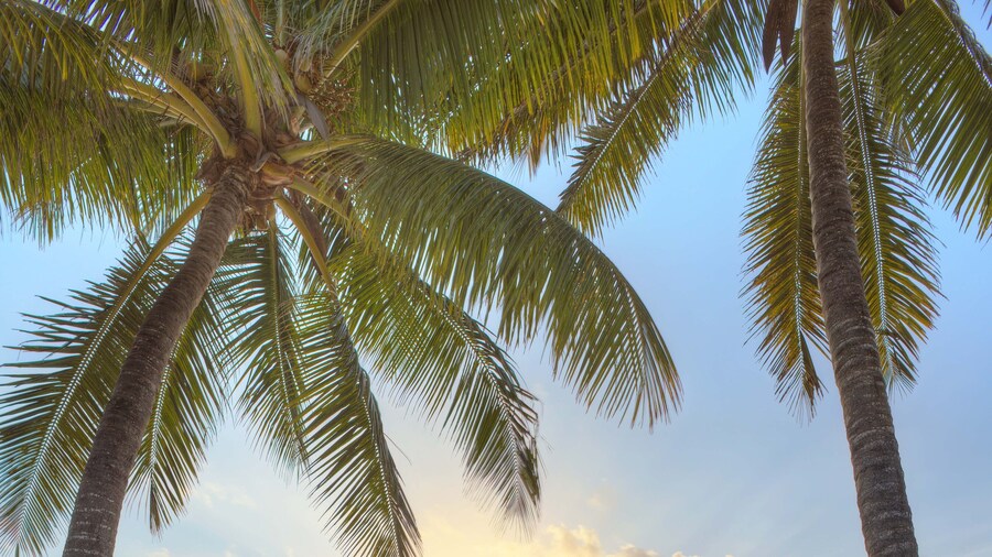 Sultan Sands Island Resort & Spa