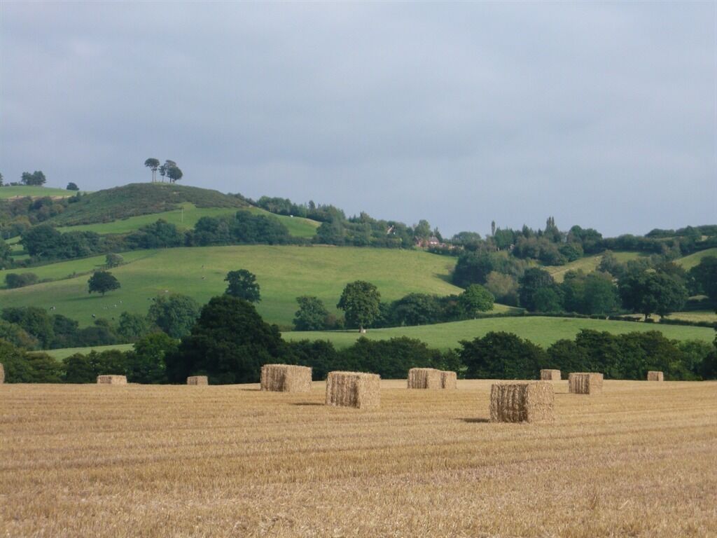 A rural landscape with rolling hills, hay bales, and scattered trees.
