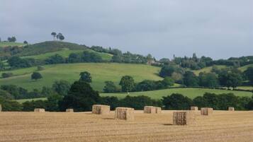 A rural landscape with rolling hills, hay bales, and scattered trees.