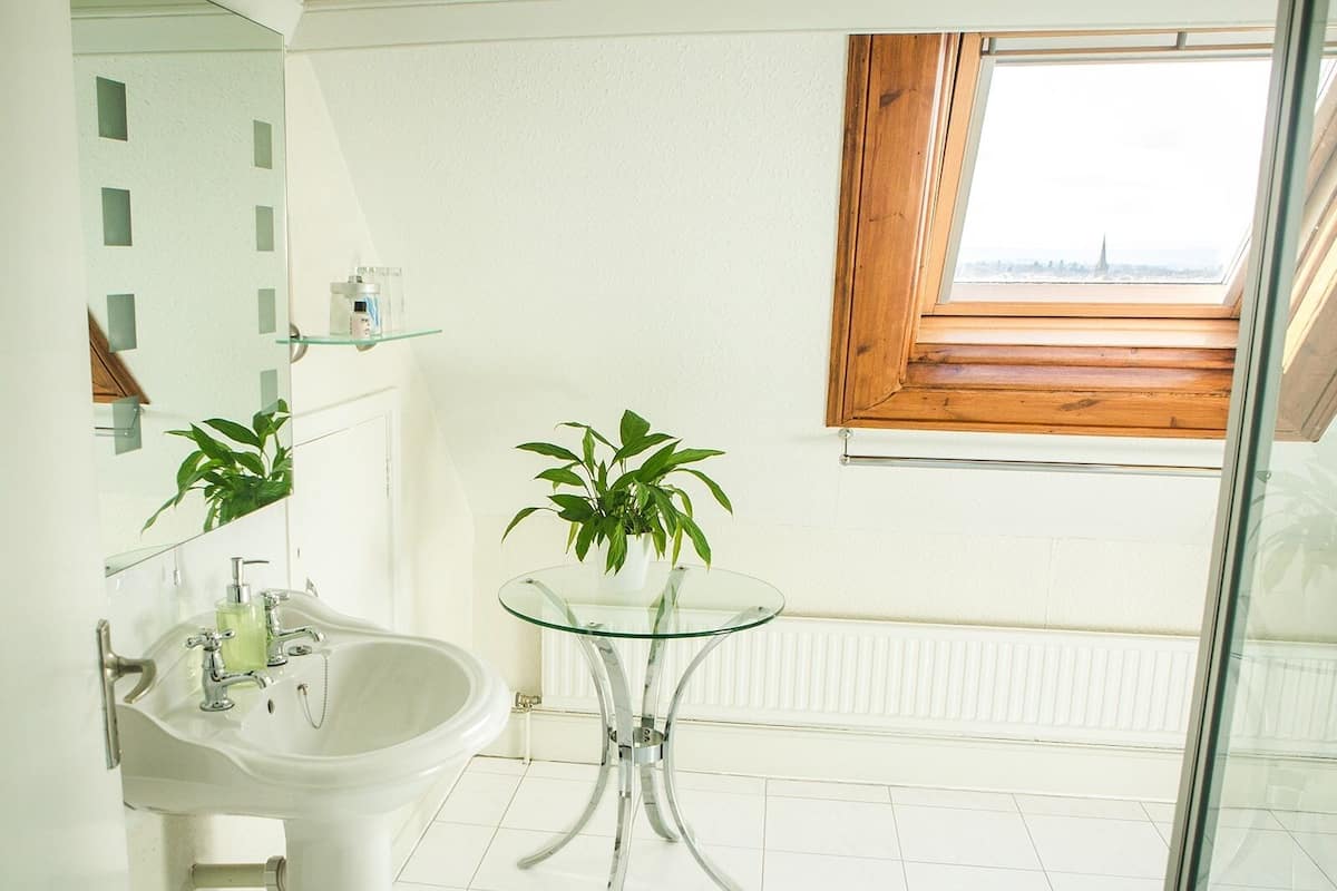 A bathroom with a white sink, a glass table, and a potted plant.