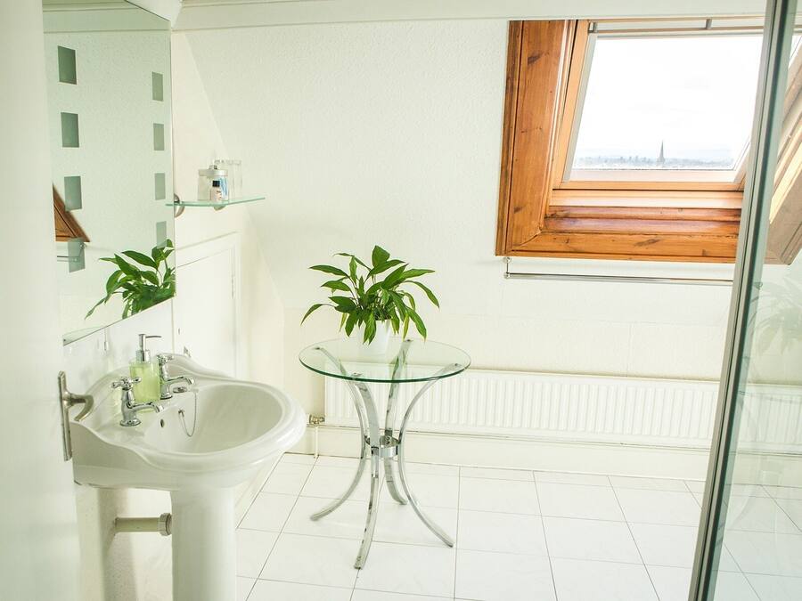 Un bagno con un lavandino bianco, un tavolino in vetro e una pianta in vaso.