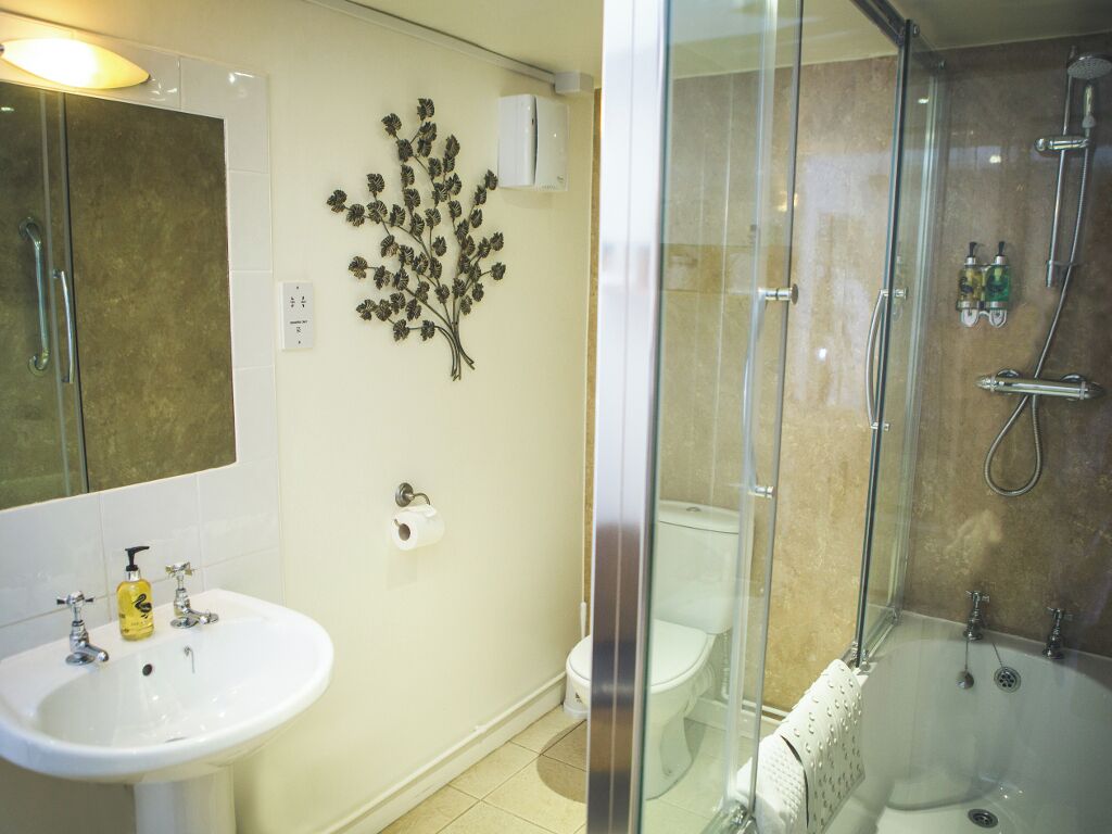 A bathroom with a glass-enclosed shower, a white sink with a soap dispenser, and a toilet.