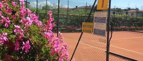 A tennis court with a fence, a sign indicating court number 1, and a flower bush in the foreground.