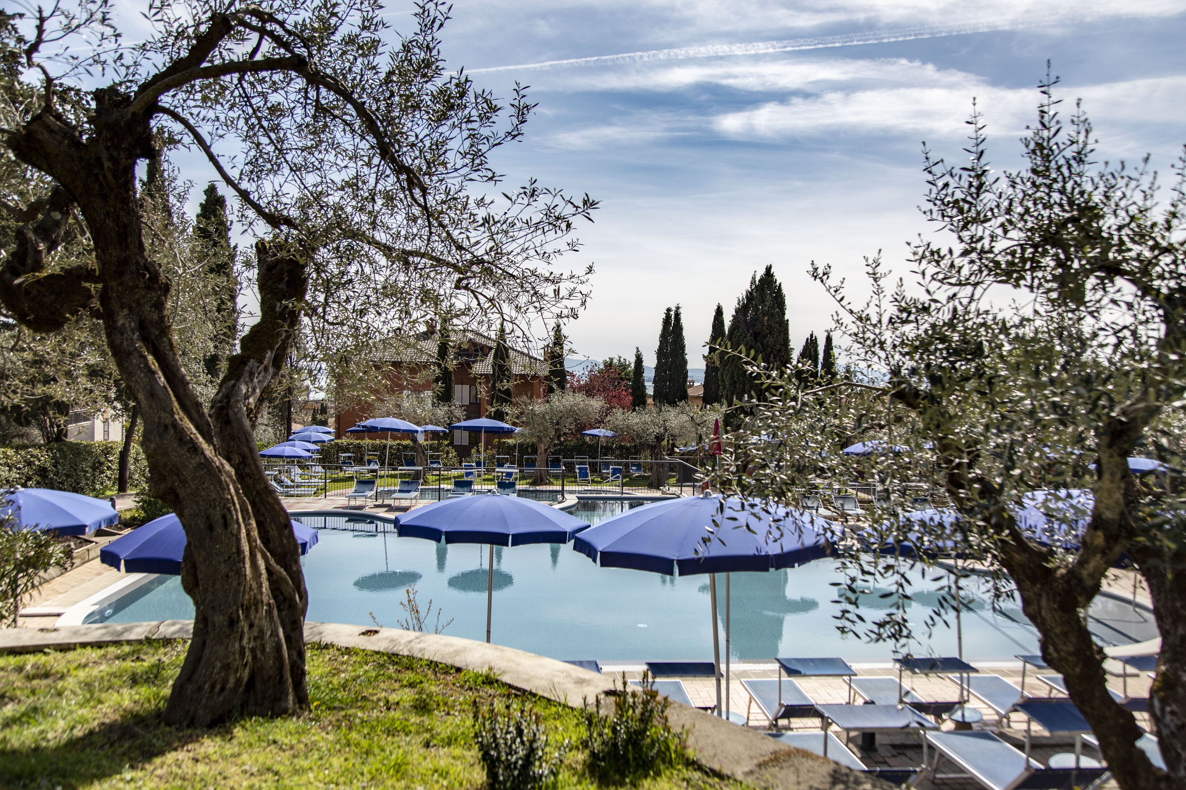Una piscina al aire libre, sombrillas, tumbonas