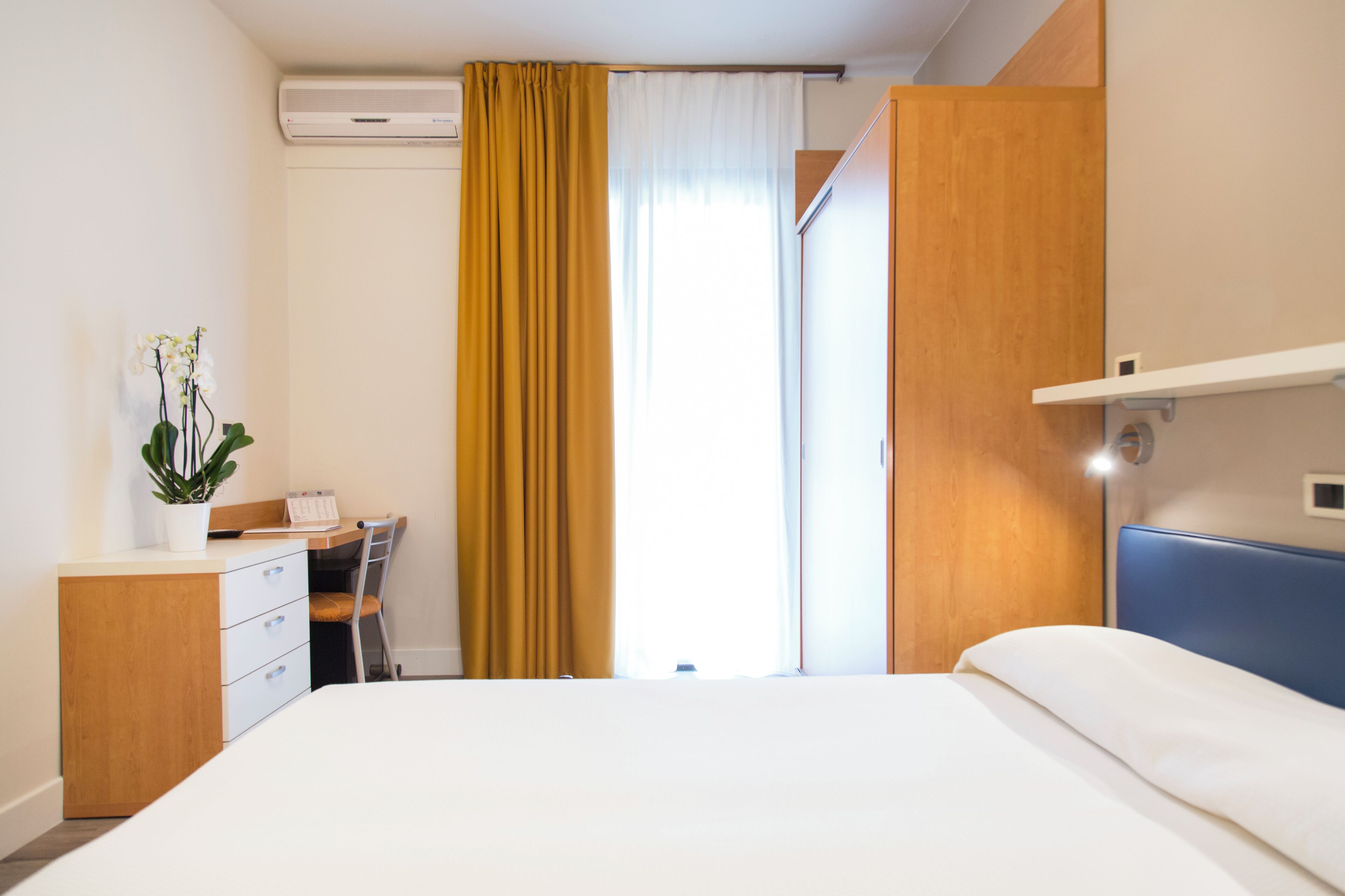 A hotel room with a bed, a desk with a chair, a potted plant, and a window with curtains.