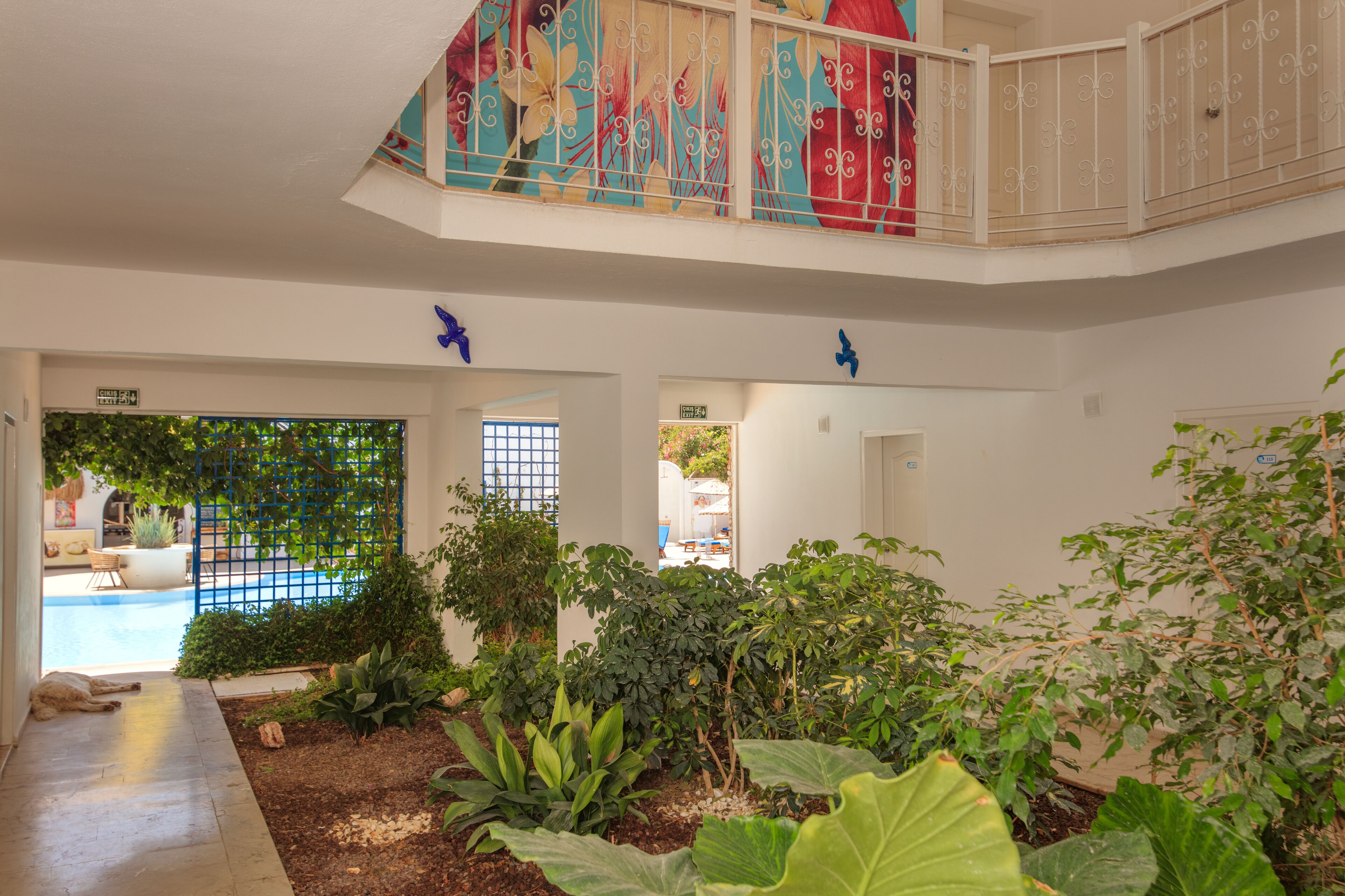 Foto - Monta Verde Hotel and Villas - Boutique Class