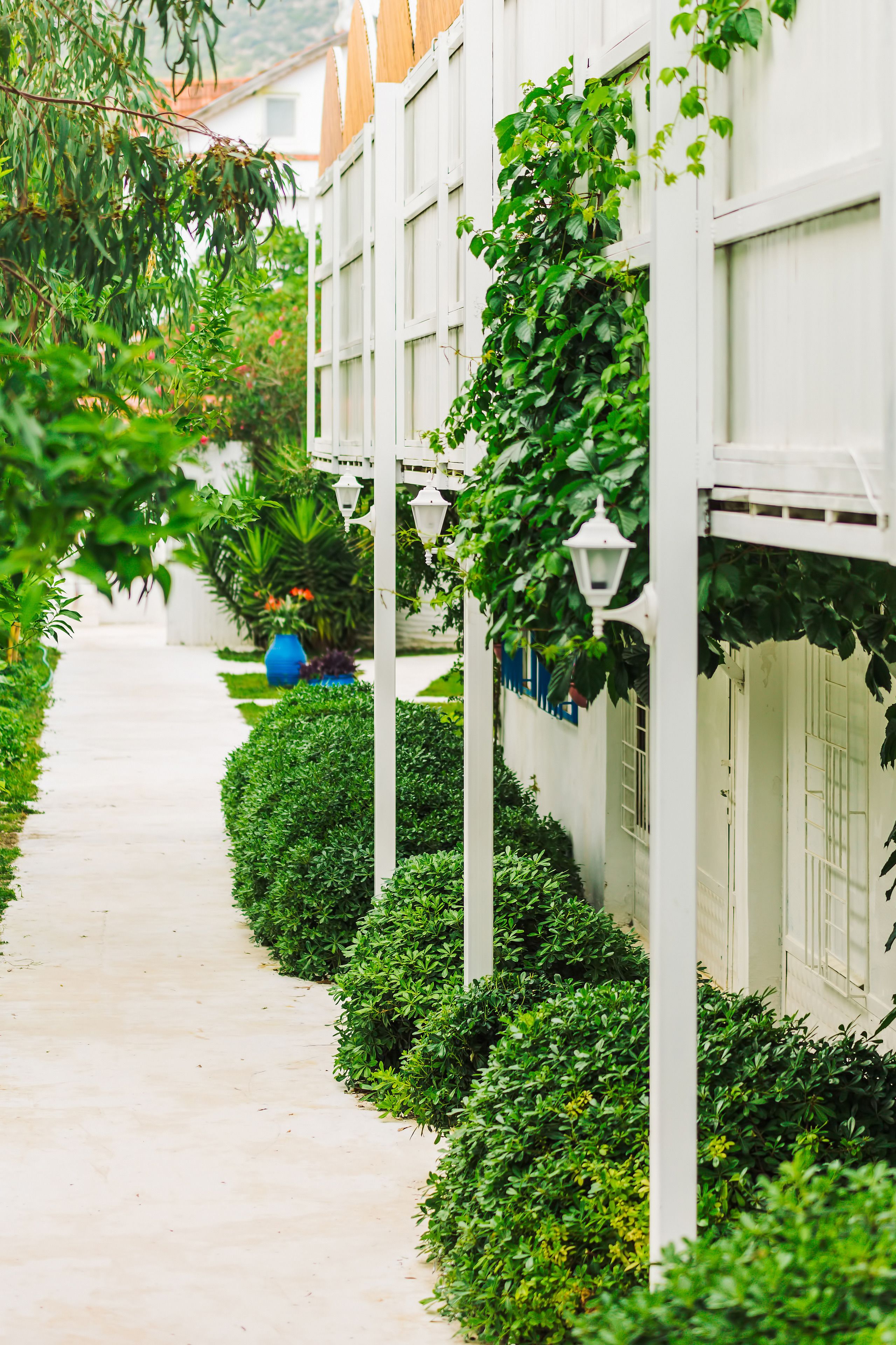 Foto - Monta Verde Hotel and Villas - Boutique Class