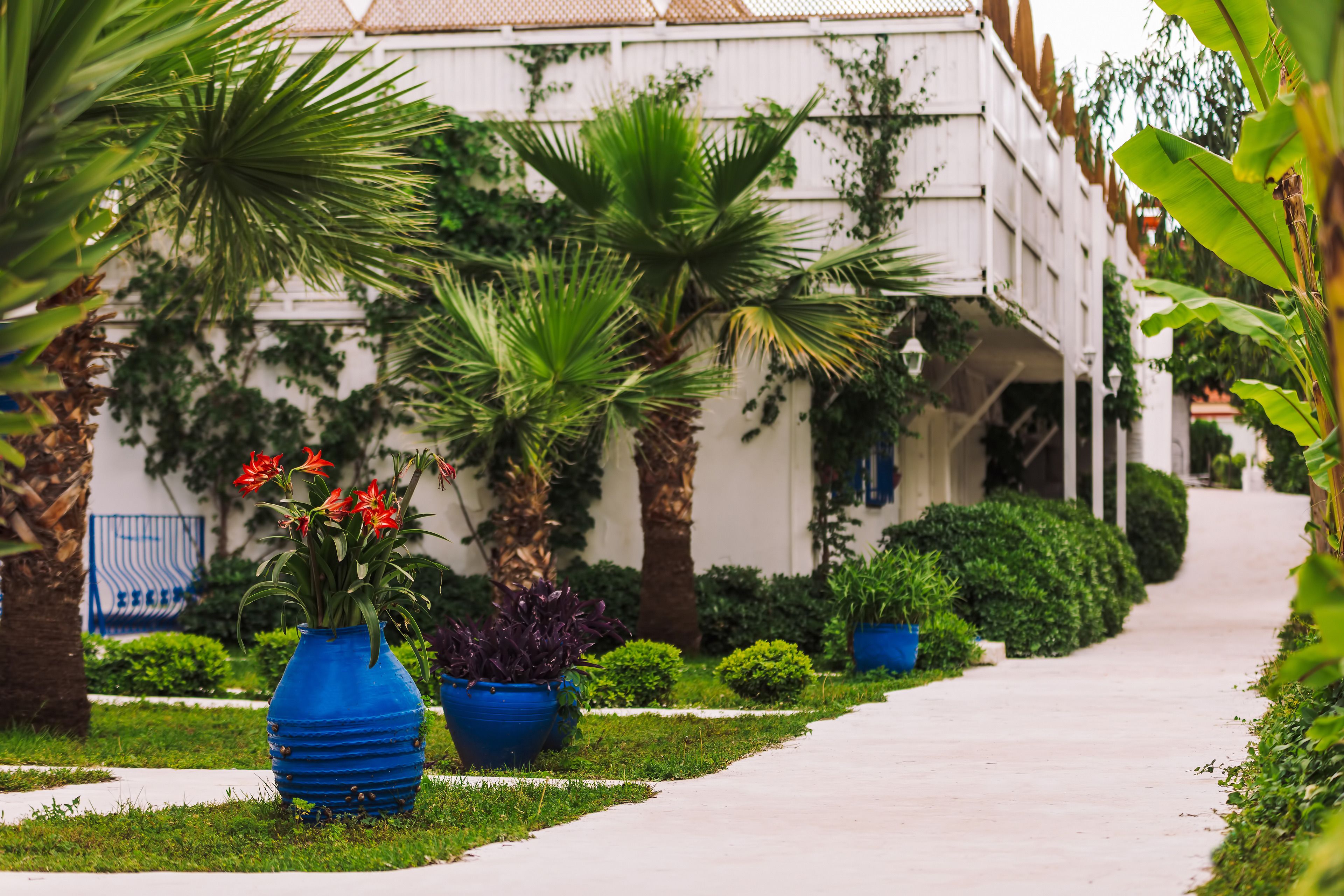 Foto - Monta Verde Hotel and Villas - Boutique Class