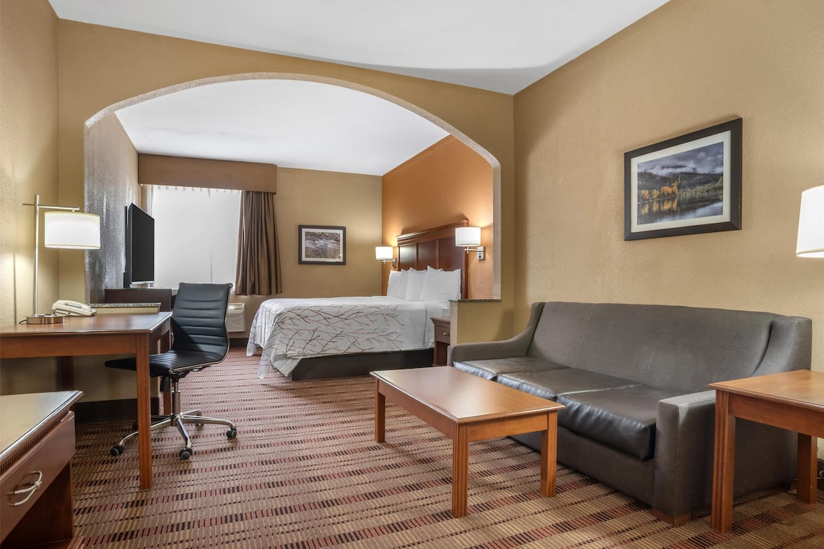 A hotel room with a bed, a sofa, a desk, and a chair.