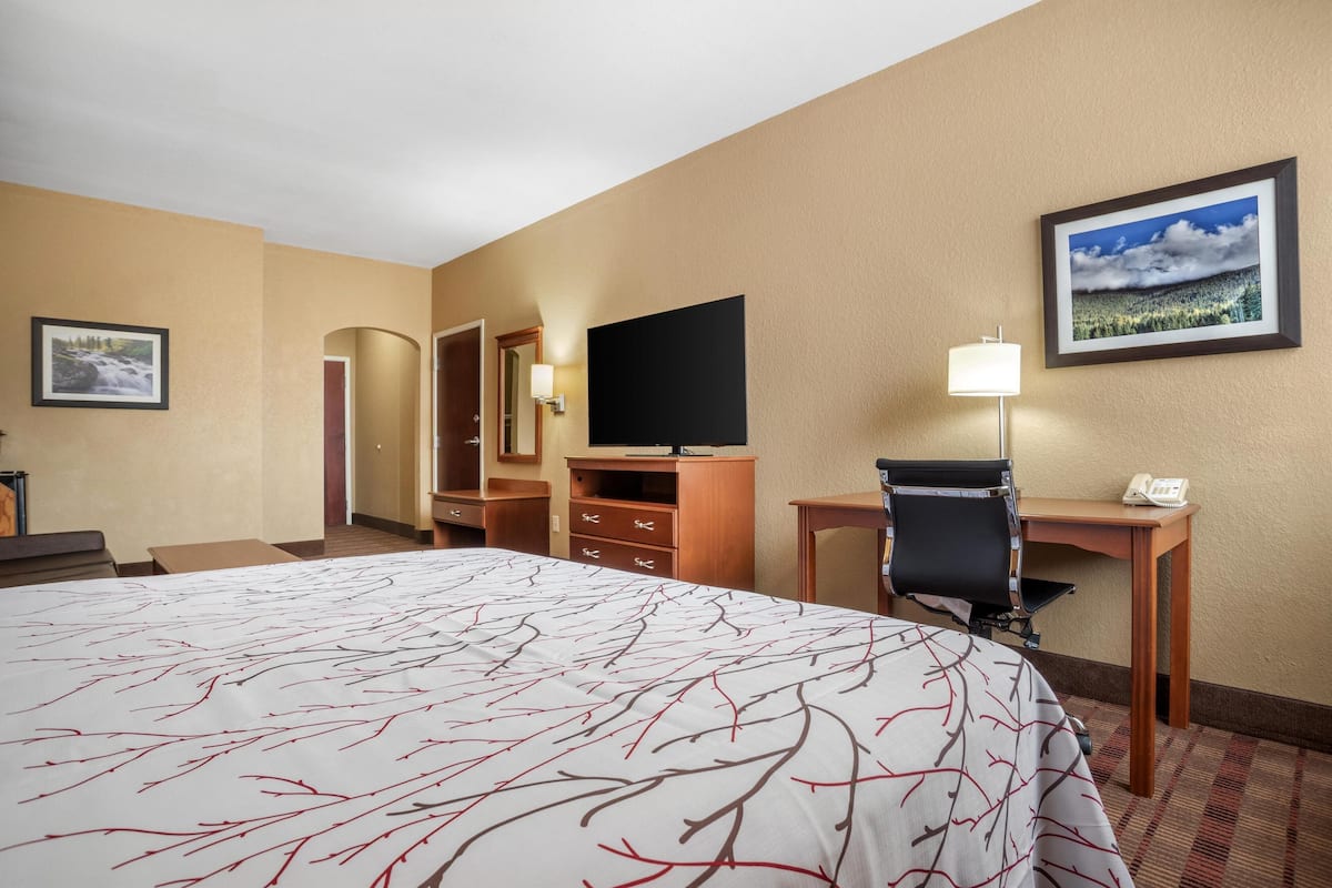 1 bedroom, desk, blackout curtains, iron/ironing board