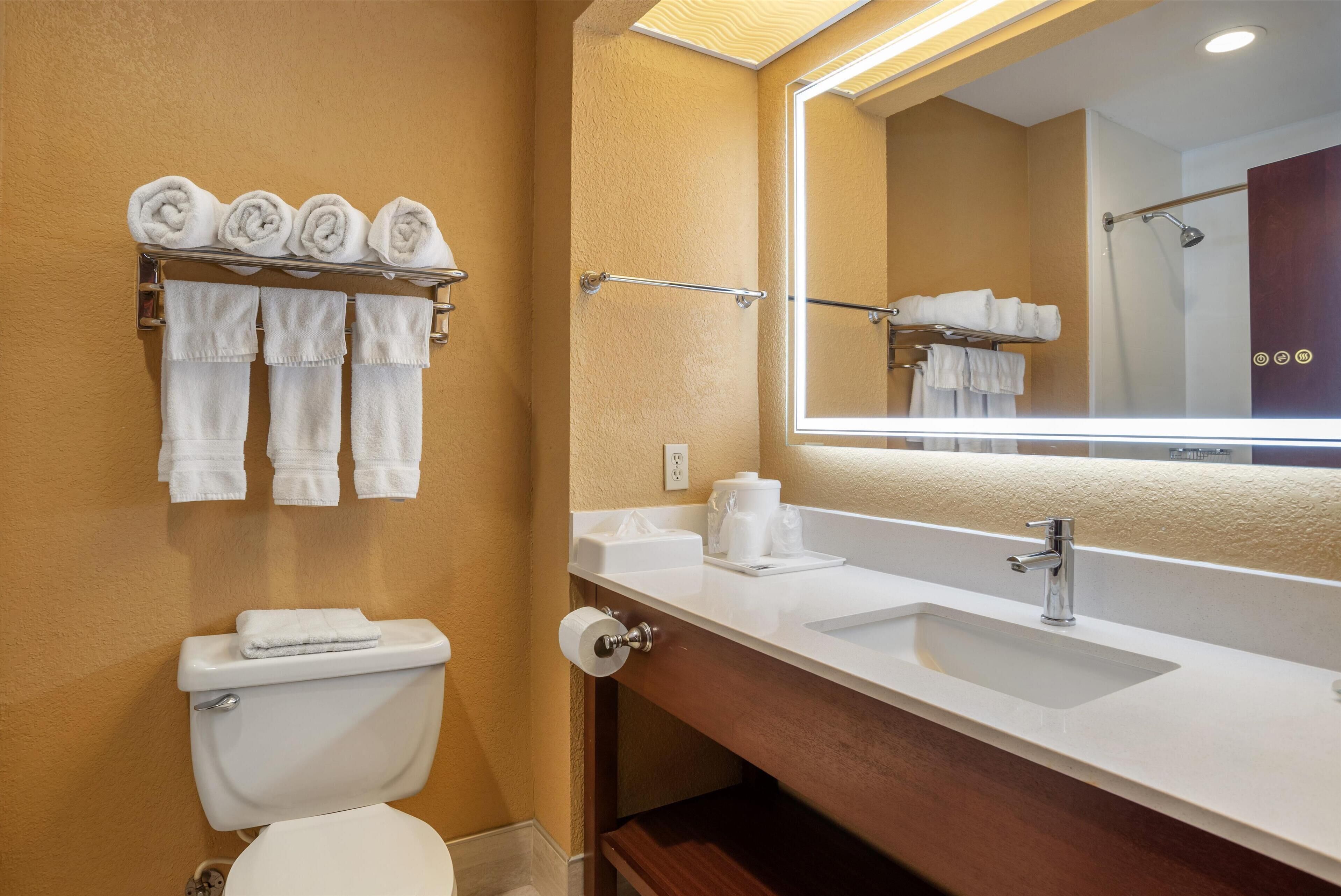 combined shower/bathtub, hair dryer, towels