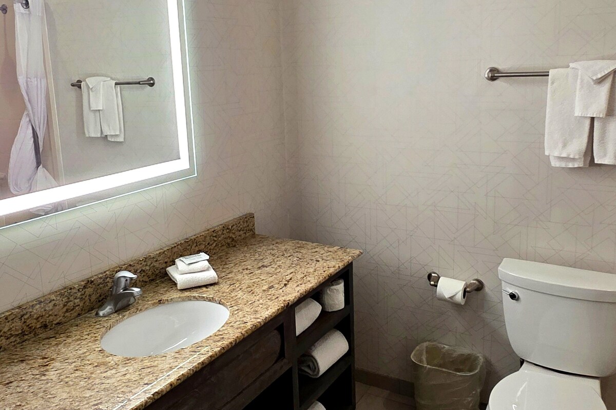 Ein Badezimmer mit Granitwaschtisch, Spiegel, Toilette und Handtuchhalter.
