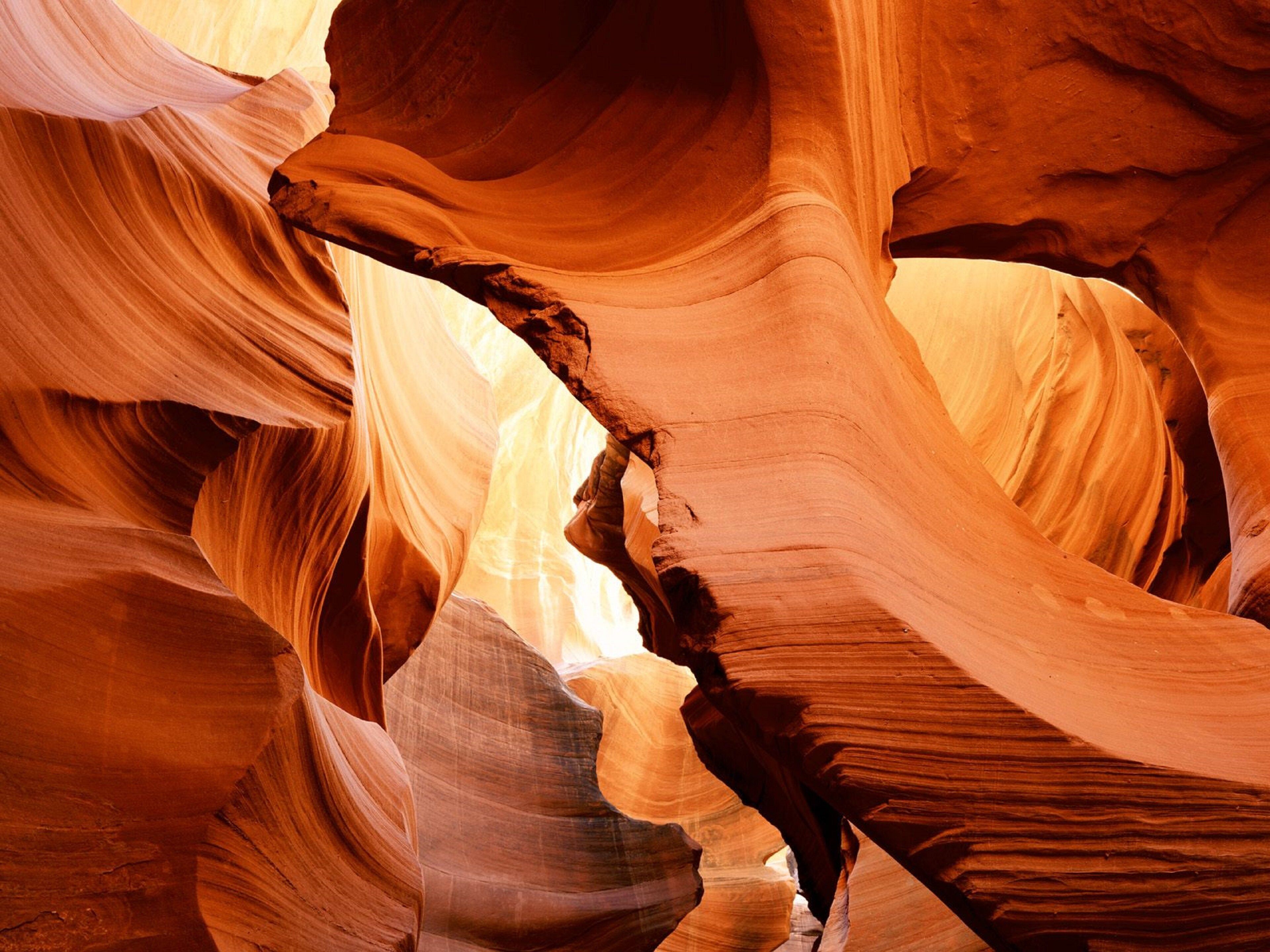 Un canyon aux parois rocheuses lisses et aux formes arrondies.
