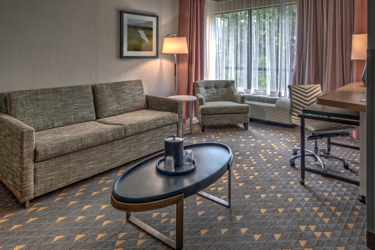 Suite, 1 King Bed | Premium bedding, pillow-top beds, desk, iron/ironing board