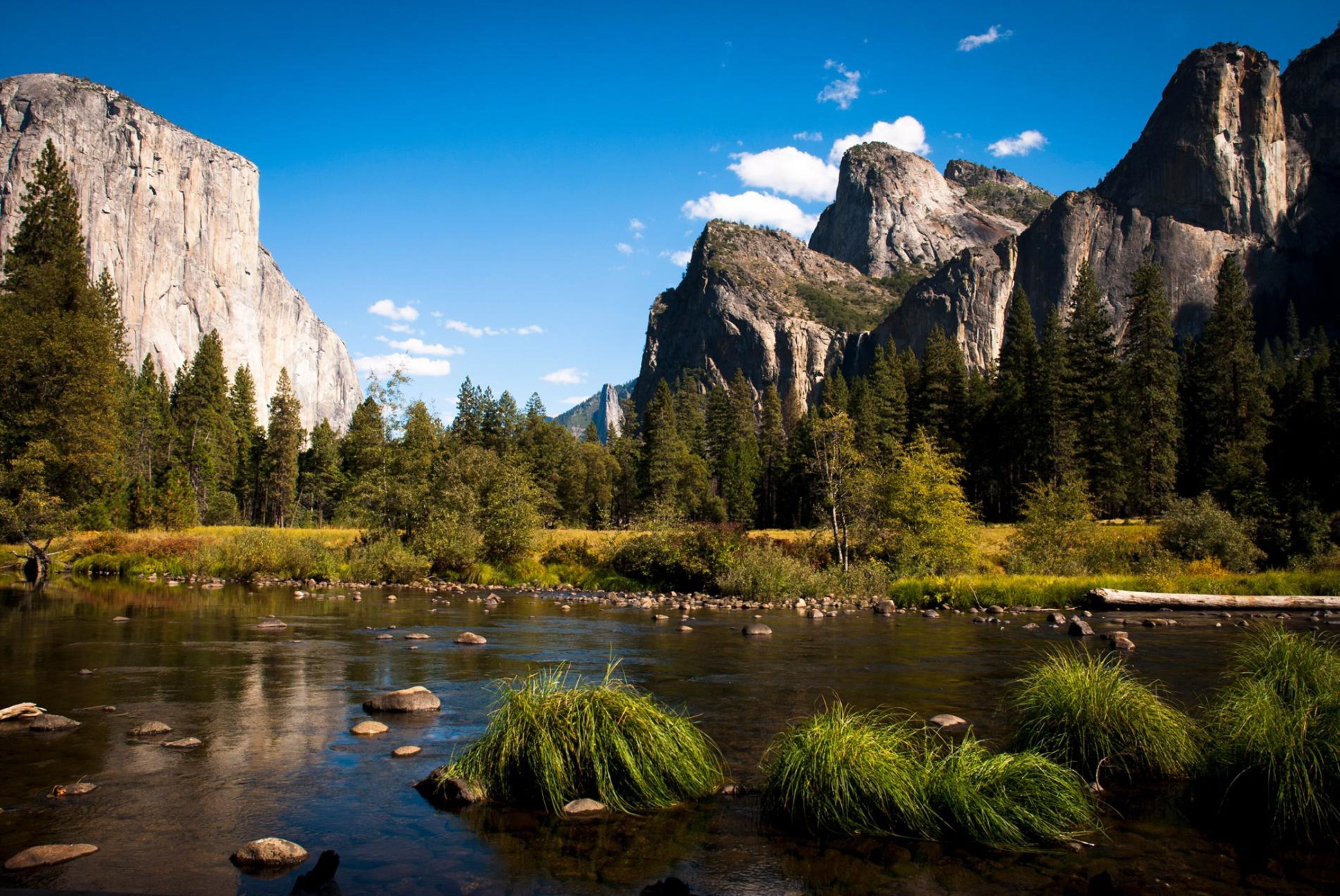 A river with rocks and grass in a mountainous area with tall trees and cliffs.